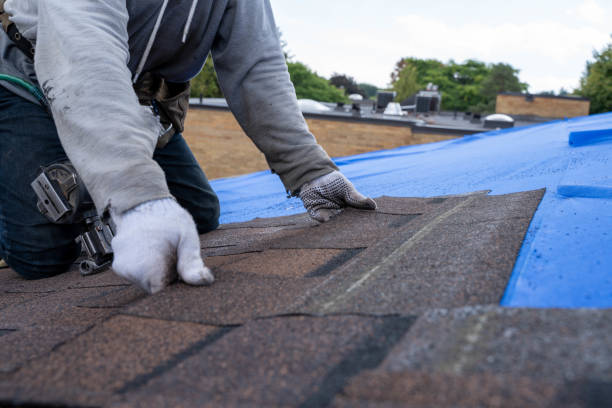 Best Storm Damage Roof Repair  in Sterling, IL